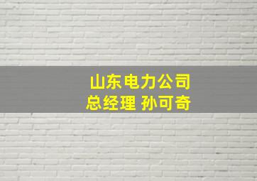 山东电力公司总经理 孙可奇